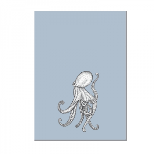 Octopus blau